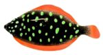 Magic Minnow Flat Matt