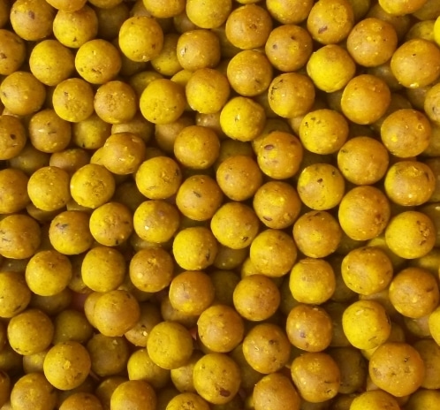 Boilies