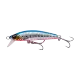 Pink Belly Sardine