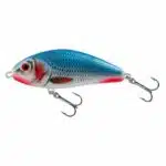 Bleeding Blue Shad