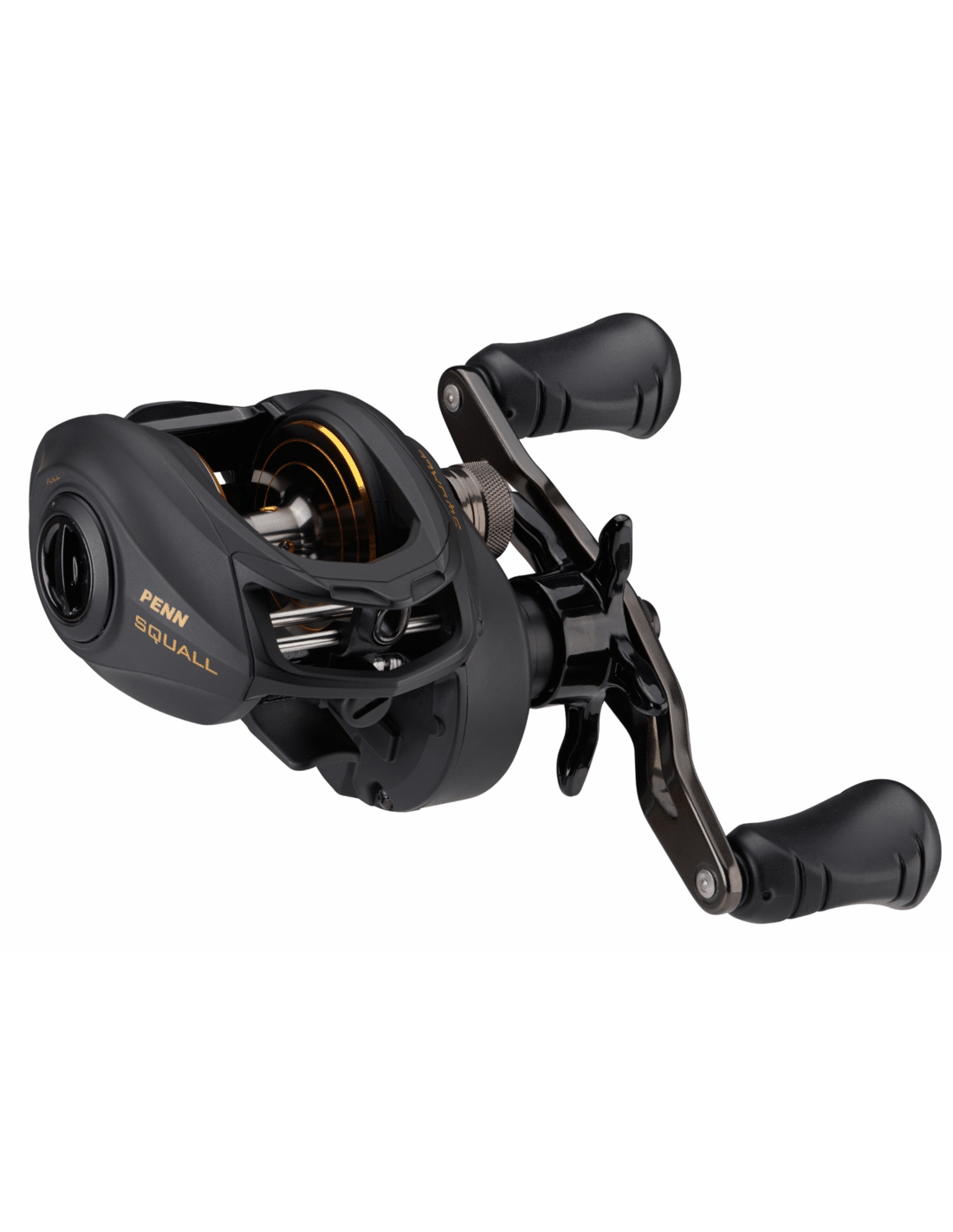 Penn Squall Low Profile Reel Ahoy Hengelsport