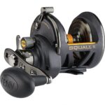 Penn Squall II Star Drag