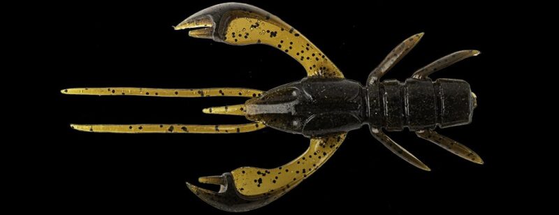 FishUp Real Craw 25, 7 stuks! - Afbeelding 6