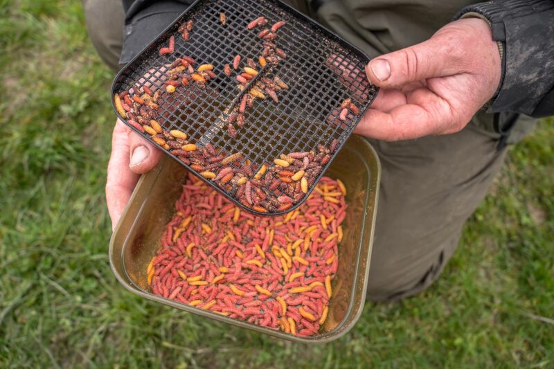 Korum Maggot Tub And Riddle 2pt/1.2L - Afbeelding 2