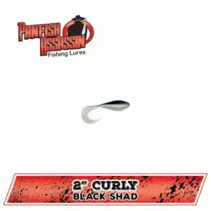 Panfish Assassin Curly Shad