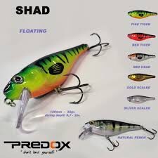 Albatros Predox Shad