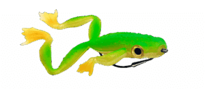 Delalande Froggy 14cm en 8cm