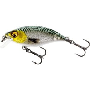 Westin BuzzBite Crankbait