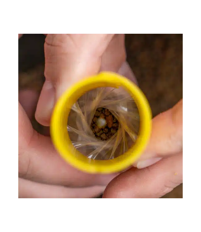 Avid Carp Transfer Solid Bag System - Afbeelding 2