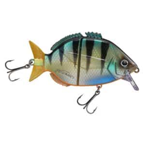 Fishus Esparrall 100mm